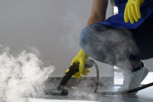 carpet steam cleaning
