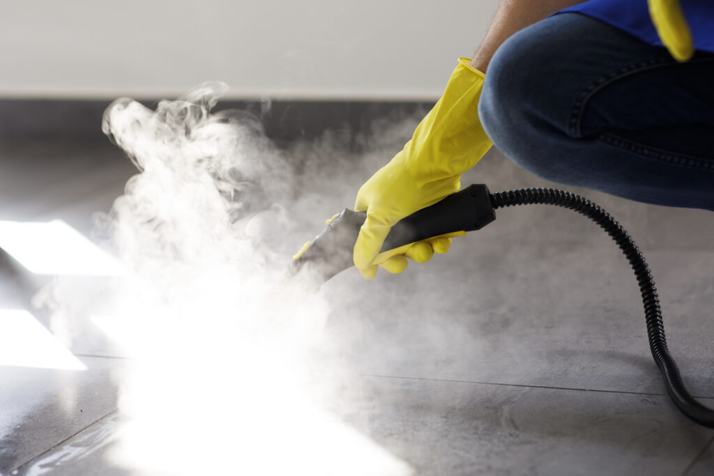 Advantages of Steam Carpet Cleaning